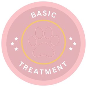 WhatsApp Image 2025-04-03 at 17.00.57