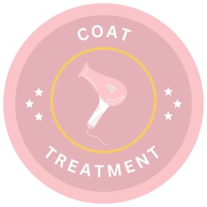 WhatsApp Image 2025-04-03 at 17.06.34